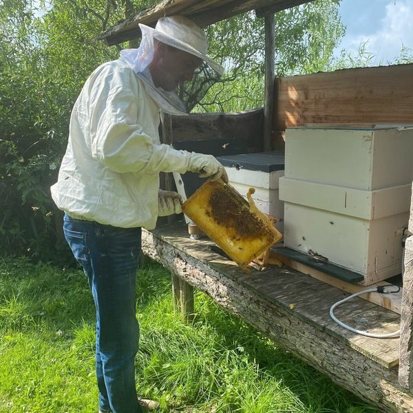 Bij de bijen Vertakking Zorg